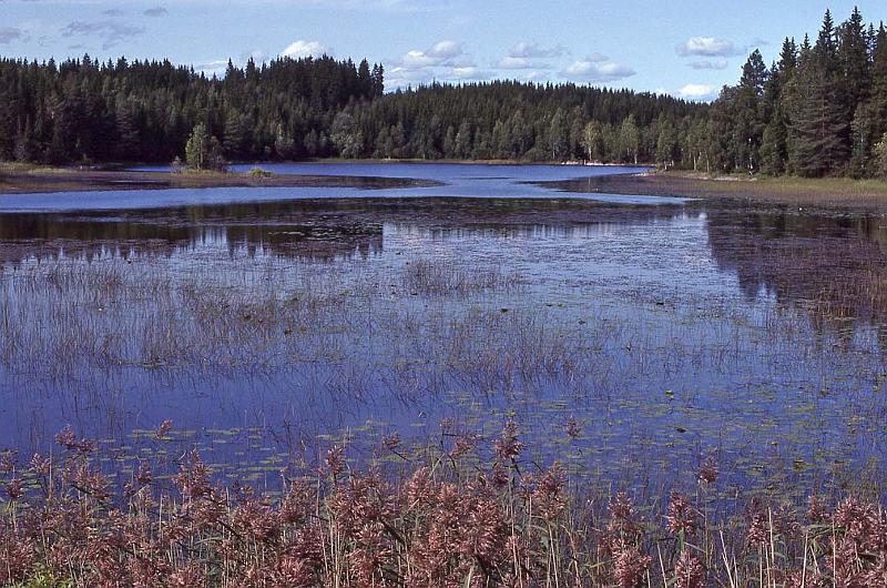 WT 3300 367-05 Norway.jpg